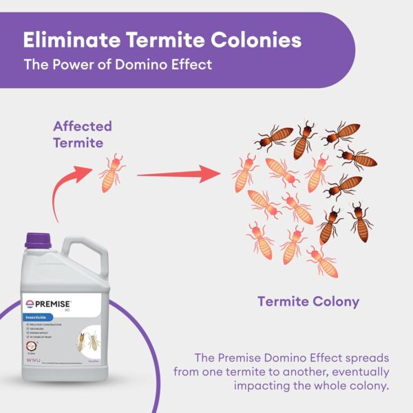 Premise Termite Control - Image 5