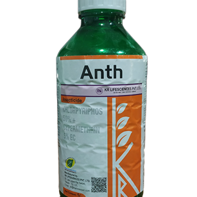 Anth 505
